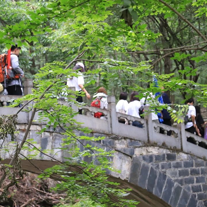 1748917537.jpg 微信图片_20250602132727.jpg