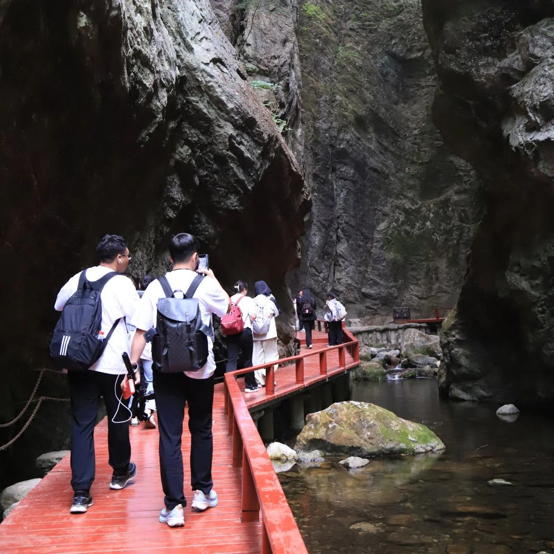 1748917555.jpg 微信图片_20250602132739.jpg