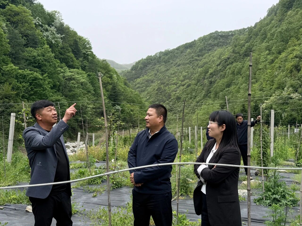 1782109812.jpg 微信图片_2026-06-22_142858_006.jpg