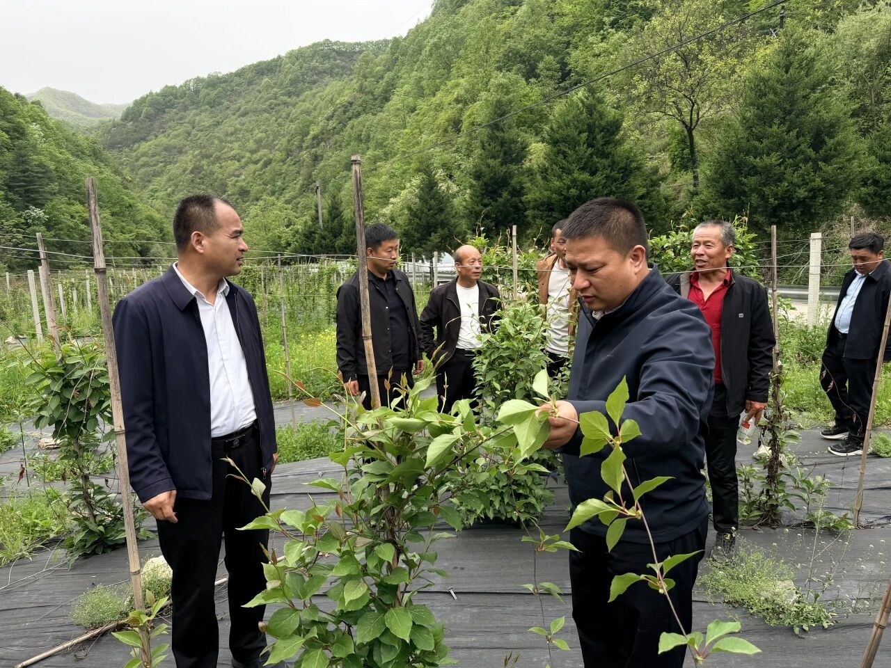 1782109843.jpg 微信图片_2026-06-22_142900_998.jpg